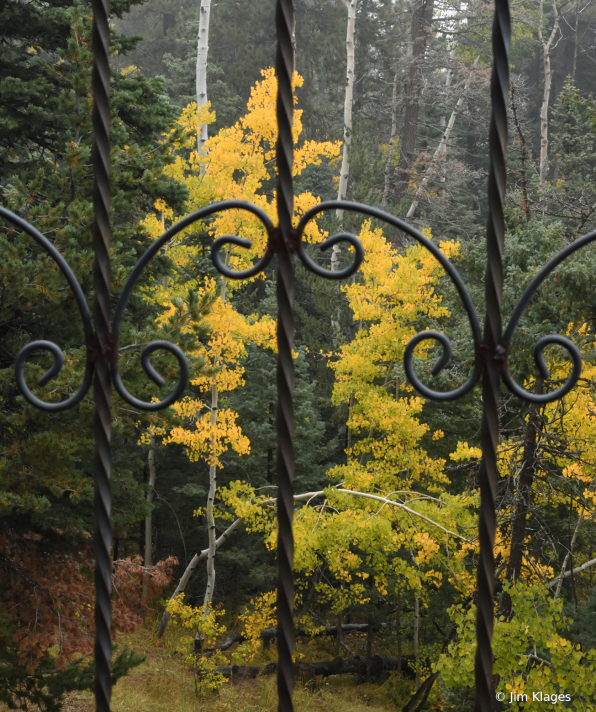 Fall Colors from the Balcony