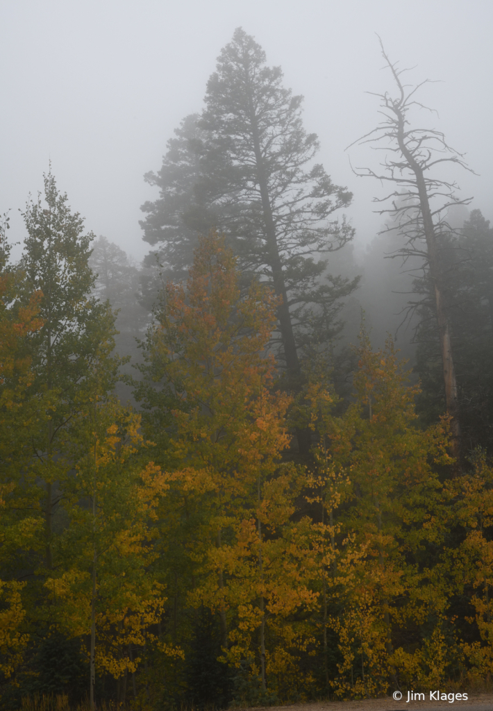 Wet Mountains Fall Scenery Shrouded in Fog