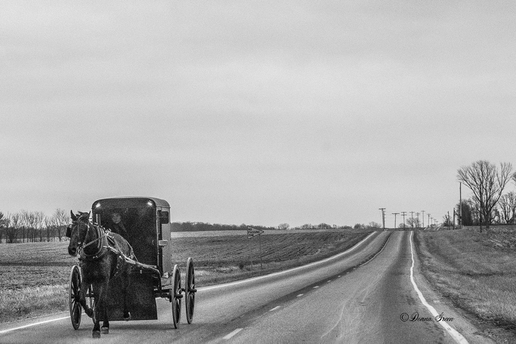 Amish Ride