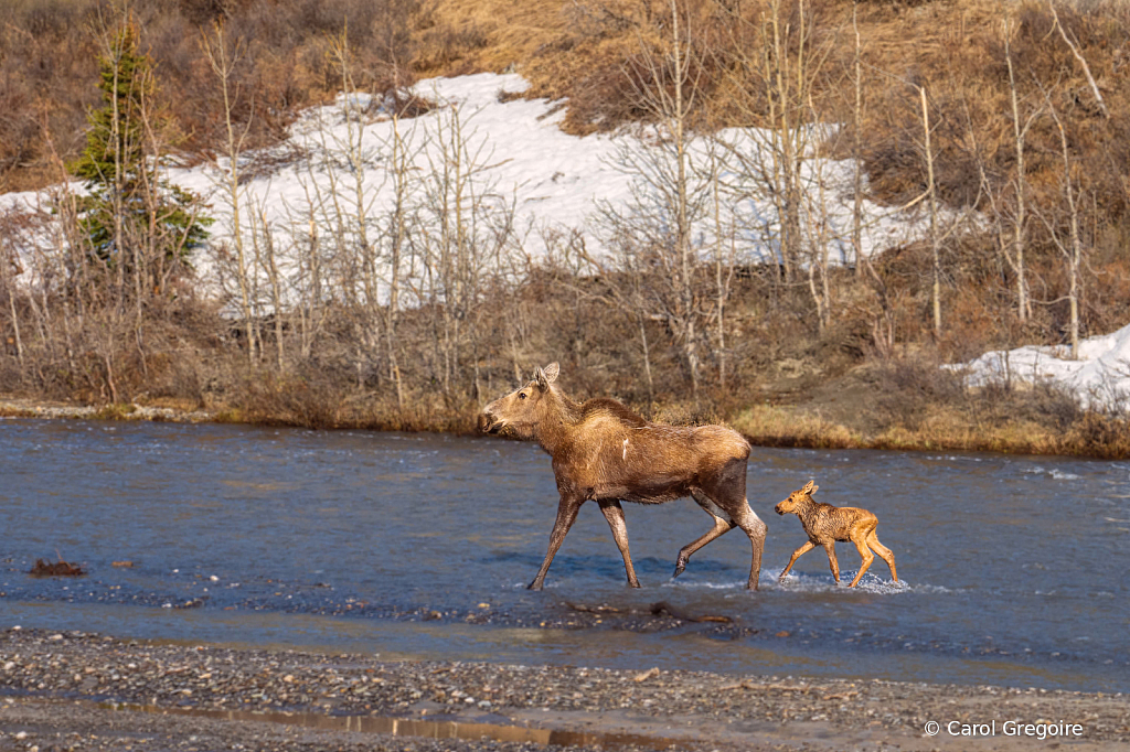 Crossing the River