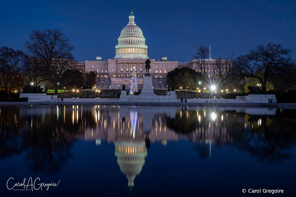 Capital Christmas