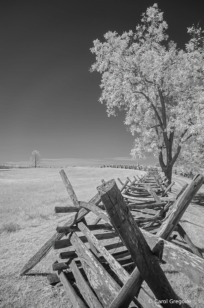 Fence Line