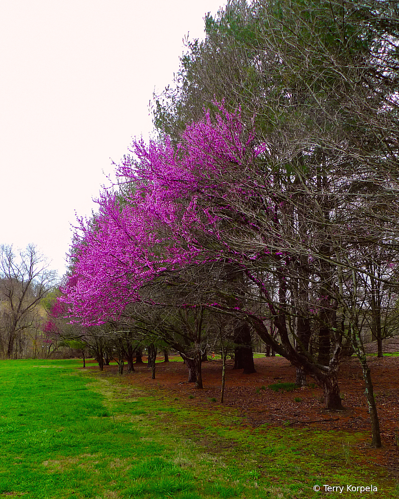 Spring has Sprung!