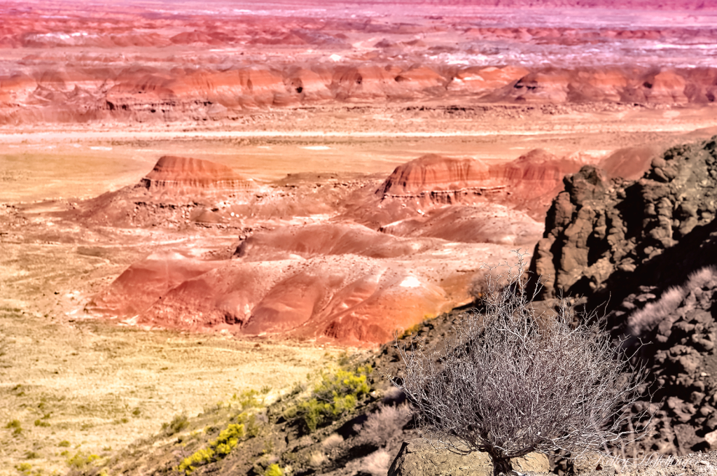 Desert Terrain