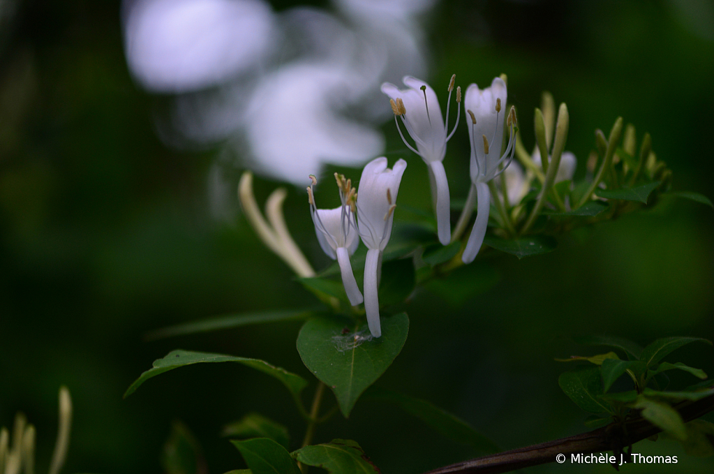 Reaching Up!