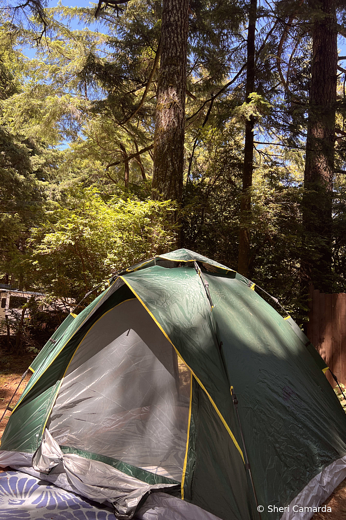 Smaller Tent