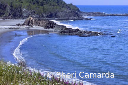 Oregon Coast