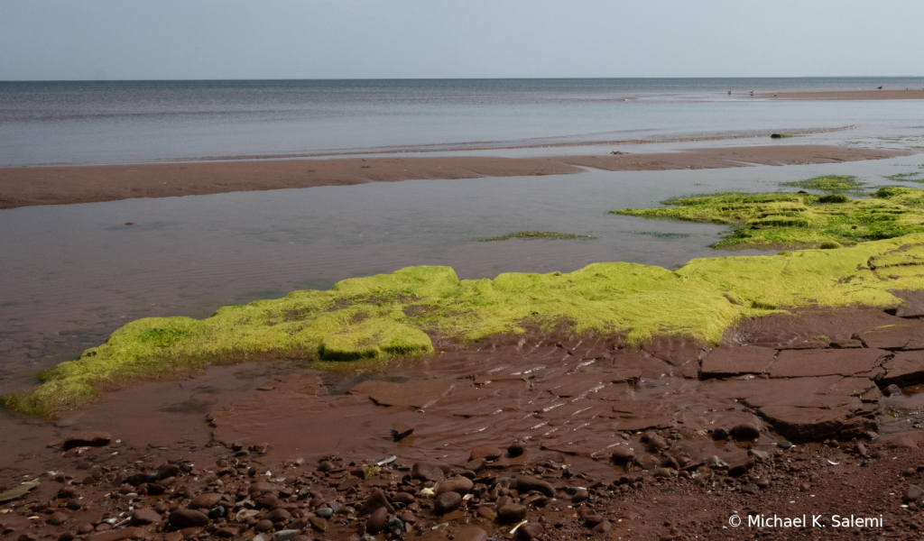 PEI North Shore