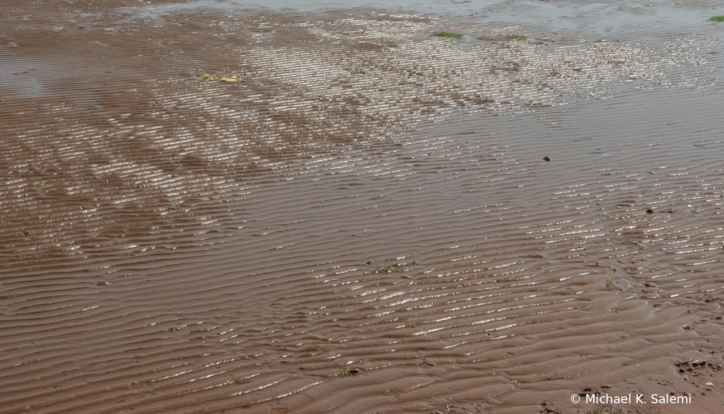 PEI North Shore Beach Ripples