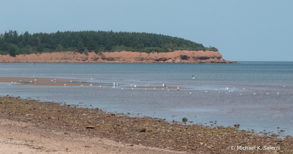 Point at Tracadie PEI 