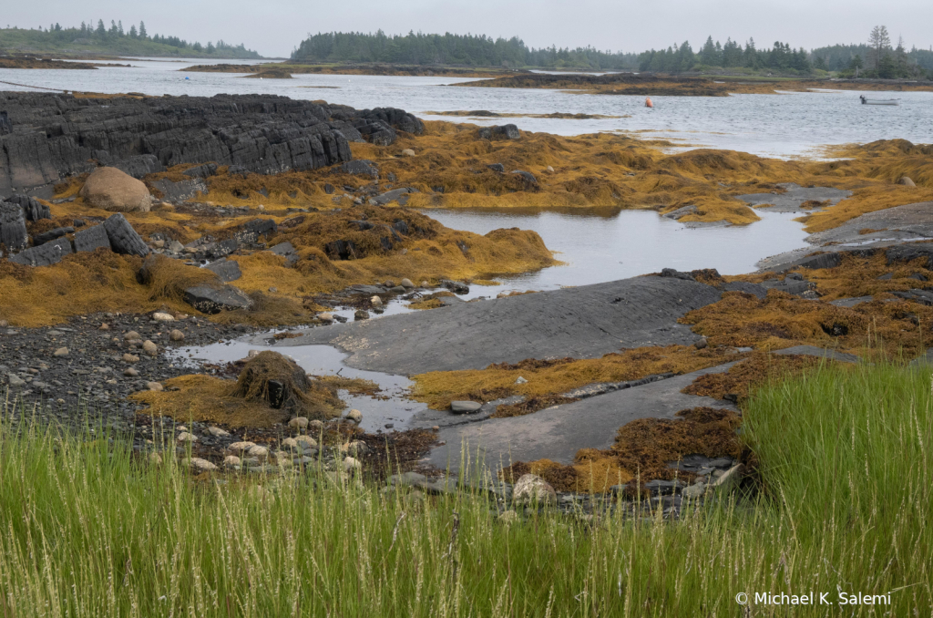 Blue Rock Coastline