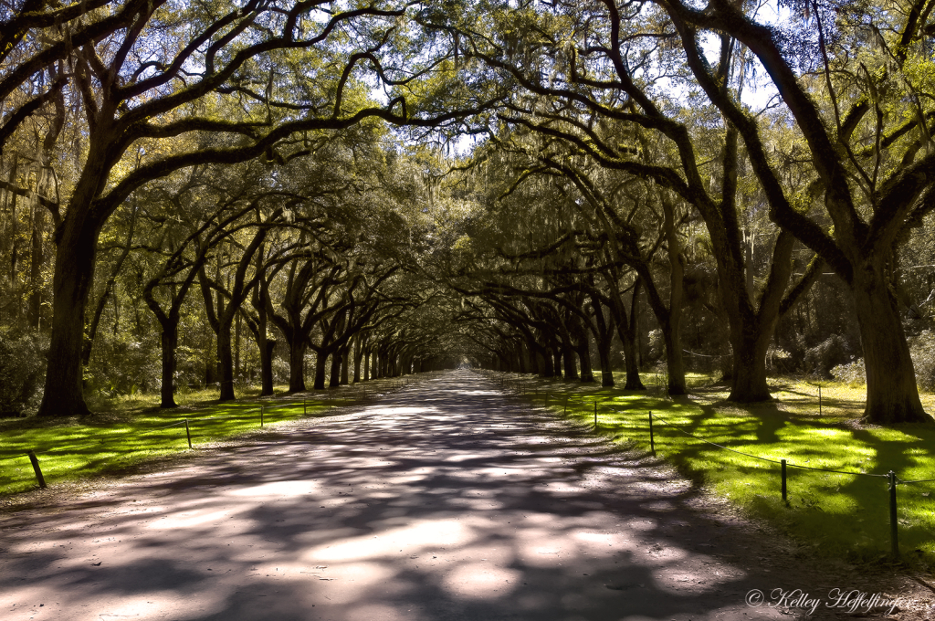 Shadowy Path