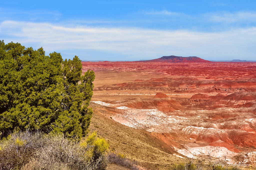 Painted Desert Palette