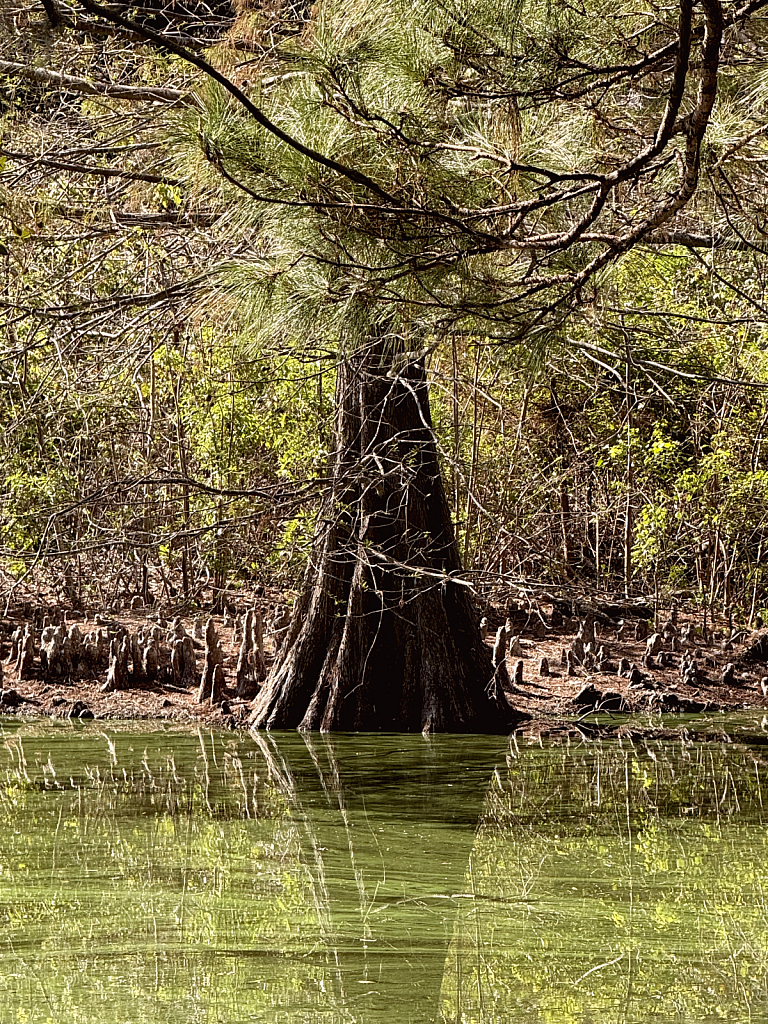 grounded in water