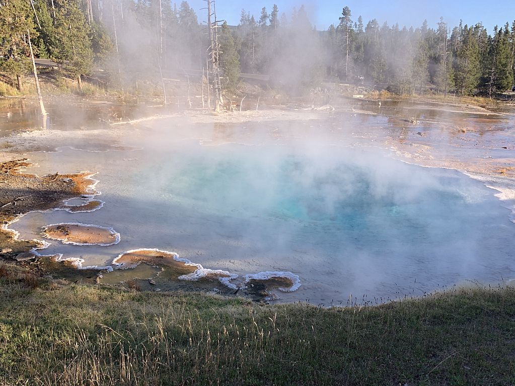 Steamy Pool 