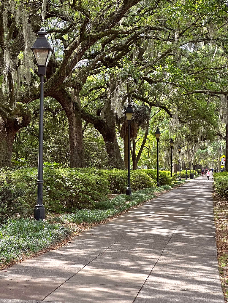 Lamp Lined Walkway