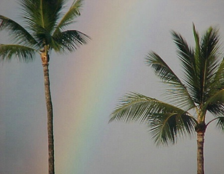 Rainbow in Maui