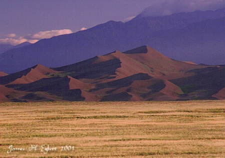 Shifting Sands