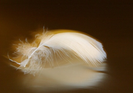Glowing feather.
