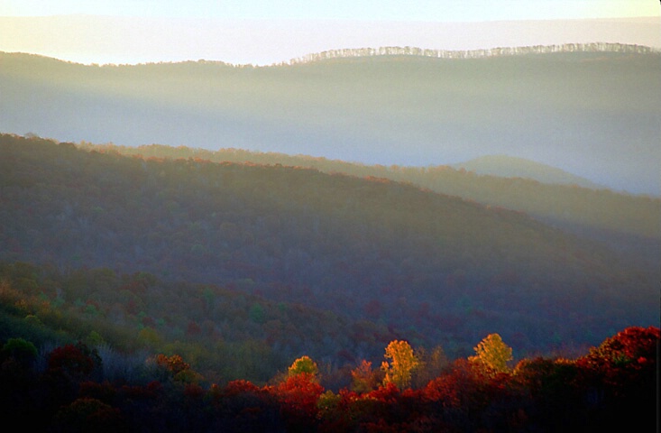 Fall morning