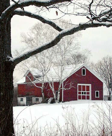 Red On White