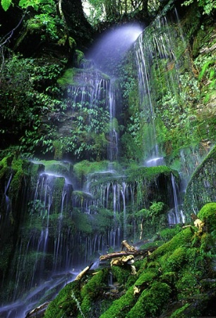 Mossvale Falls.