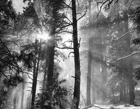 Snow Fall Rays