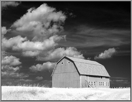 farm under the freeway......