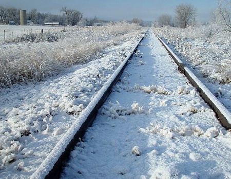 Snowy Tracks