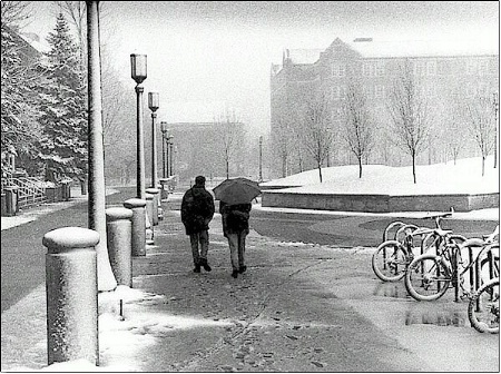 Campus in Blizzard