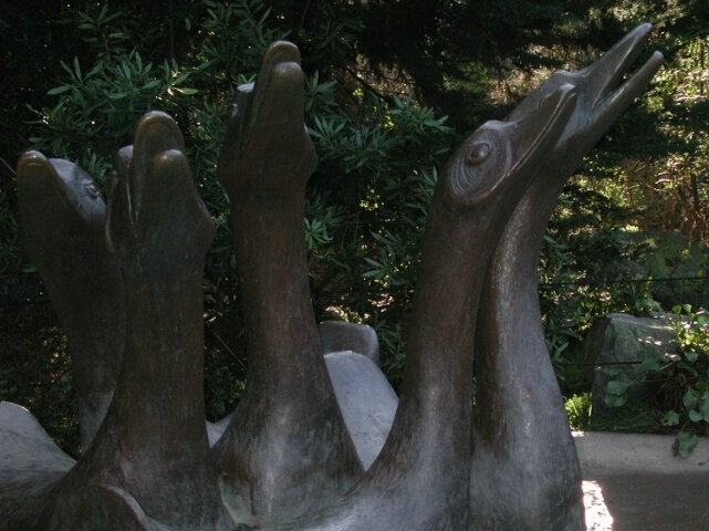A gaggle of Bronze Geese