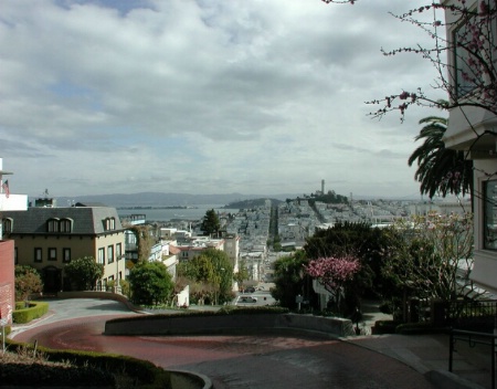 Looking Down Lombard Street