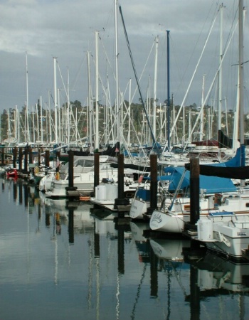 Sausalito Boats