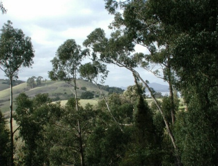 View from the Bedroom  San Rafael