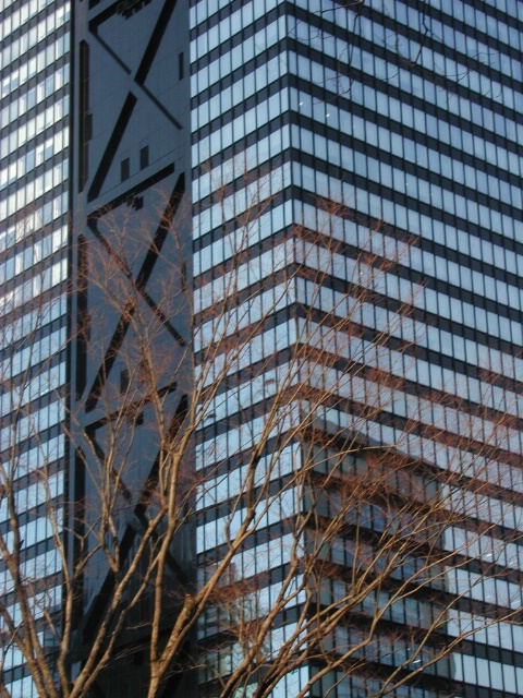 Tower and the Tree