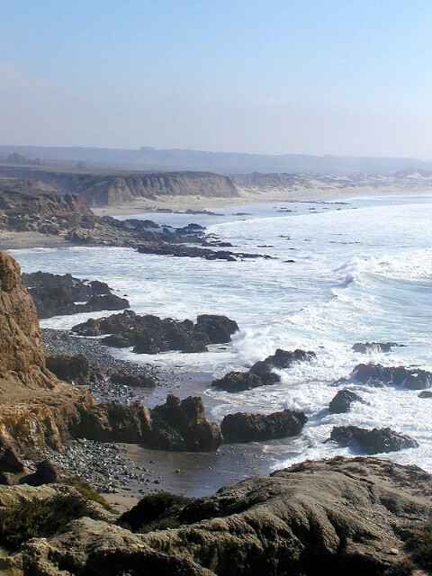 An Ocean View