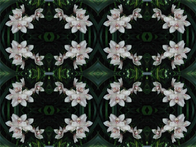 Orchid Mosaic