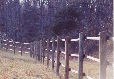 Line - Fence Line