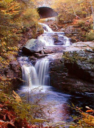 Autumn at the Falls