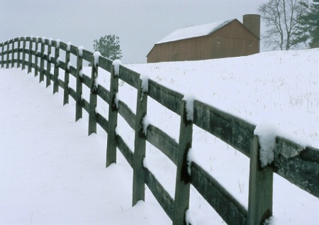 barn and fenceline