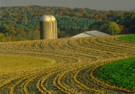 crop lines