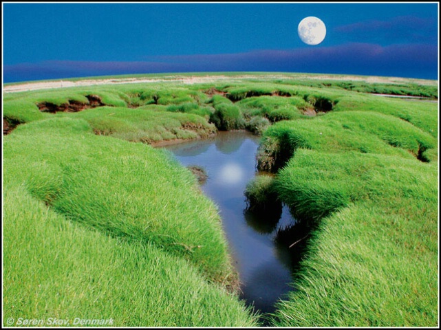 Waddensea