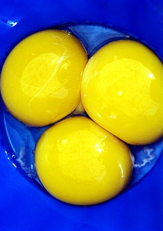 Yolks