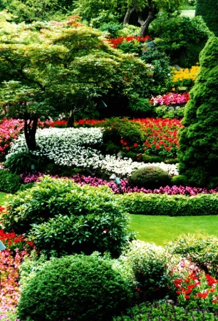 Butchart Gardens