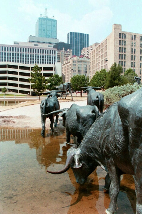 Drinkin' in Dallas