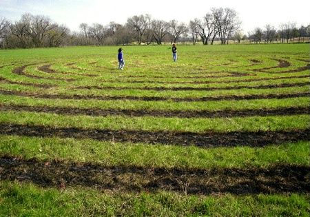 Circles of Spring