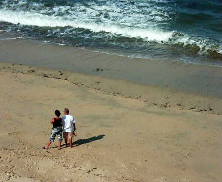 Half Moon Bay Watchers