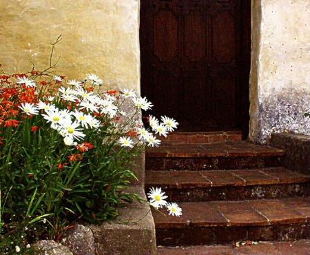 Garden Steps