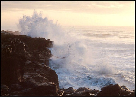 Boiler Bay Cool Splash