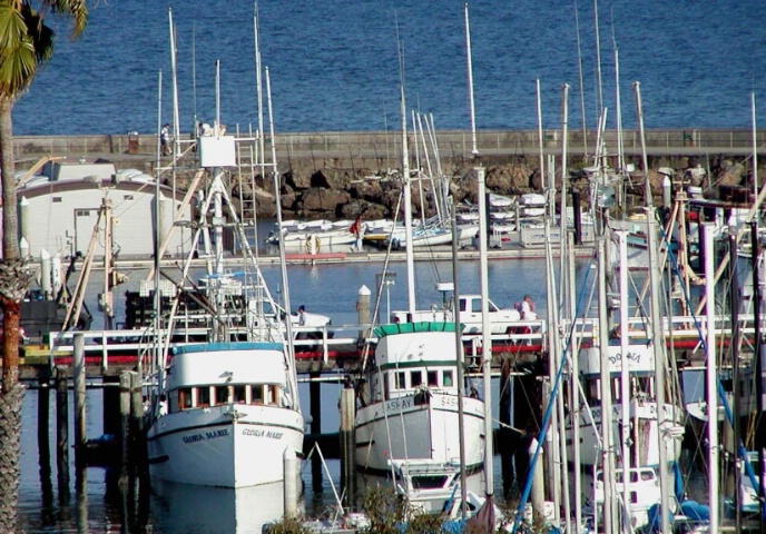 Fishing Fleet